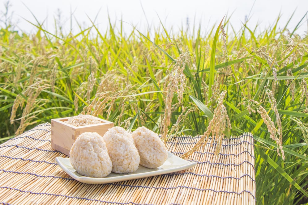 準備食　玄米おにぎり