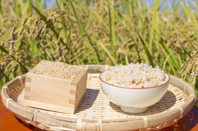 玄米