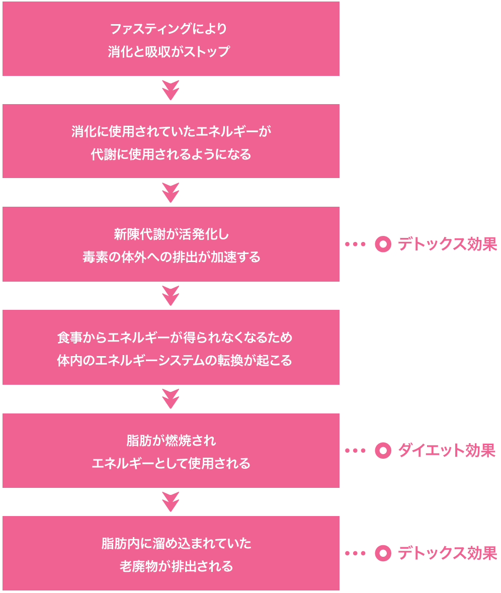 ファスティングの効果