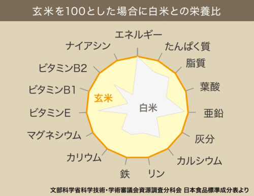 玄米と白米の比較