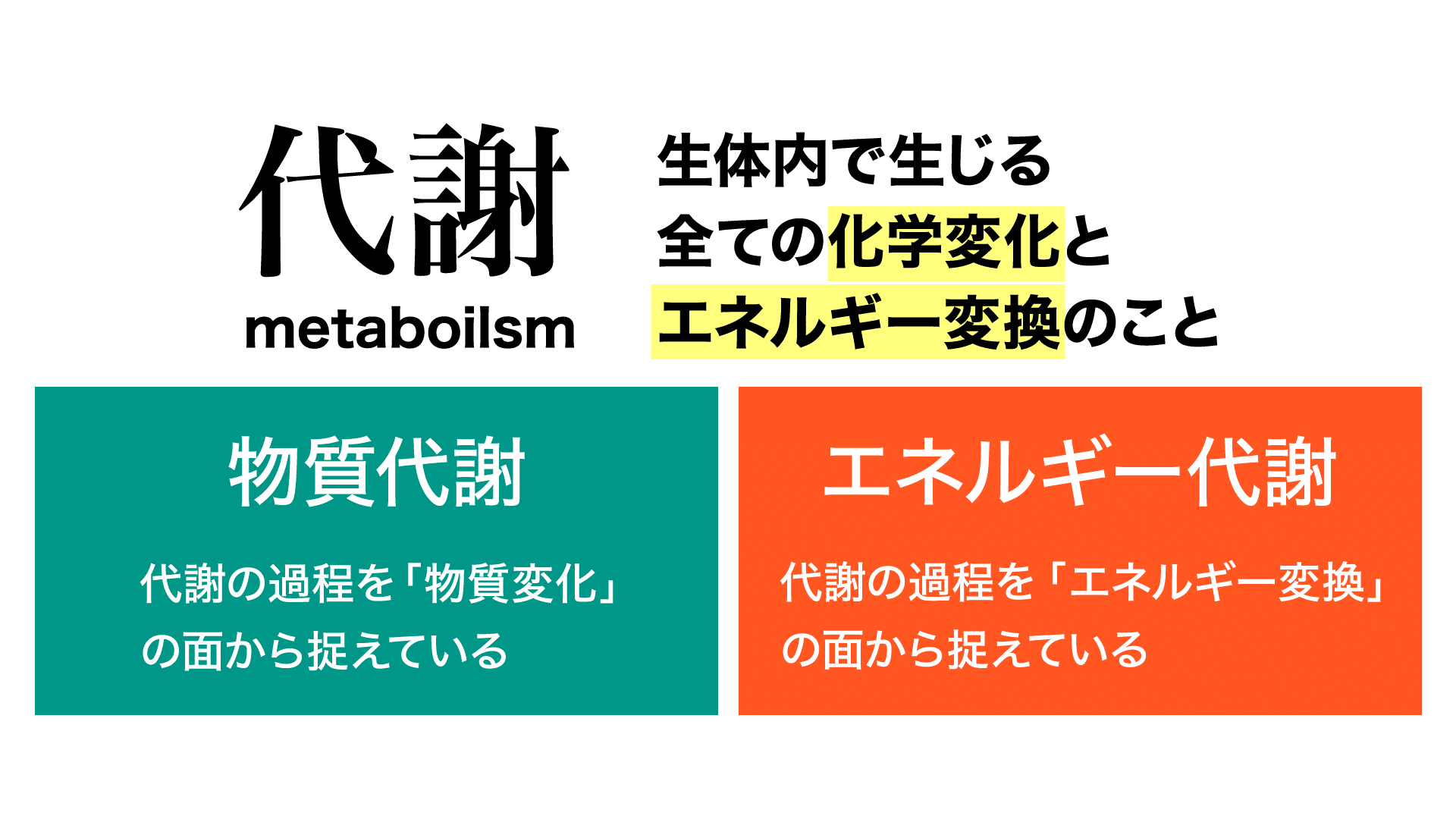 代謝とは