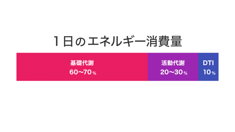 1日のエネルギー消費量