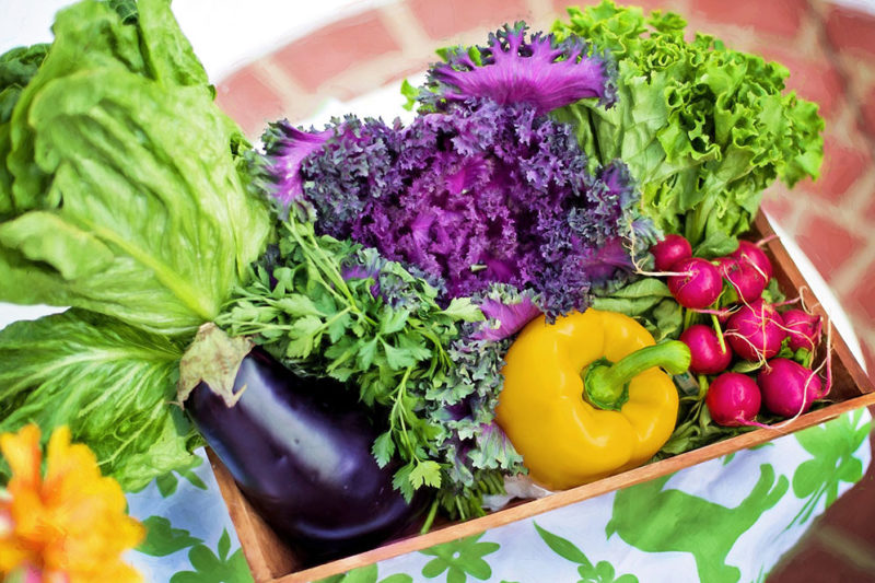オーガニックな食材