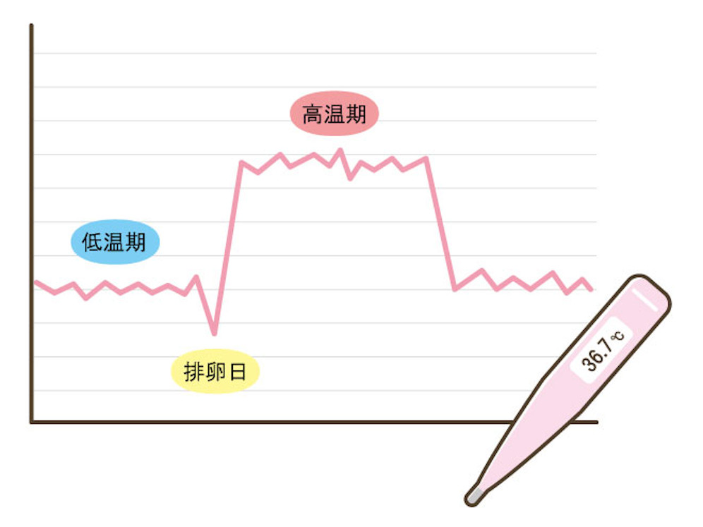 女性ホルモン 体温
