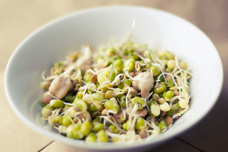 低動物性タンパク質、高植物性タンパク質の食事